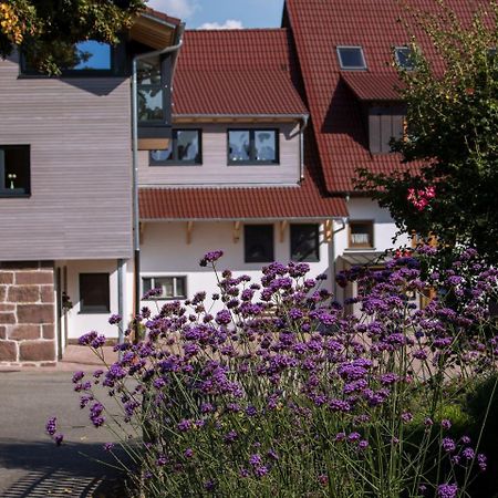 Saunaloft Schwarzwald Gemeinde Gemeinde Aichhalden Exterior foto